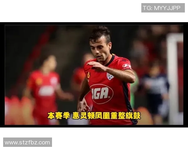 今日西部联迎战惠灵顿期待精彩对决与激烈竞争