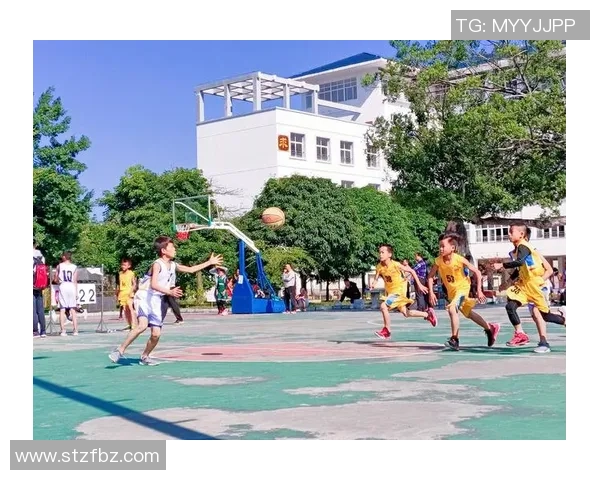 余嘉豪的成长之路与篮球梦想的追逐历程揭秘