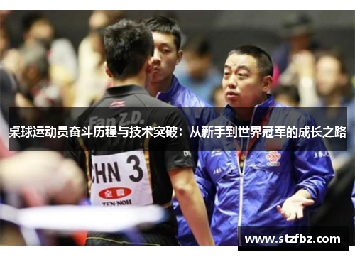 桌球运动员奋斗历程与技术突破：从新手到世界冠军的成长之路