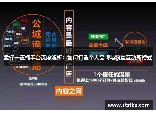 孟铎一直播平台深度解析：如何打造个人品牌与粉丝互动新模式