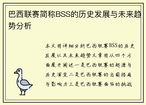 巴西联赛简称BSS的历史发展与未来趋势分析
