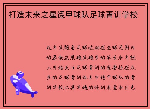 打造未来之星德甲球队足球青训学校