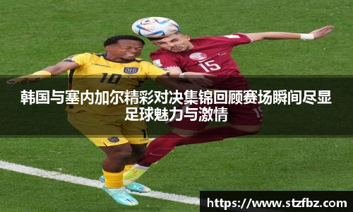 韩国与塞内加尔精彩对决集锦回顾赛场瞬间尽显足球魅力与激情